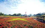 Ngắm Asian Cup làm từ hàng vạn cây hoa ở Hà Nội
